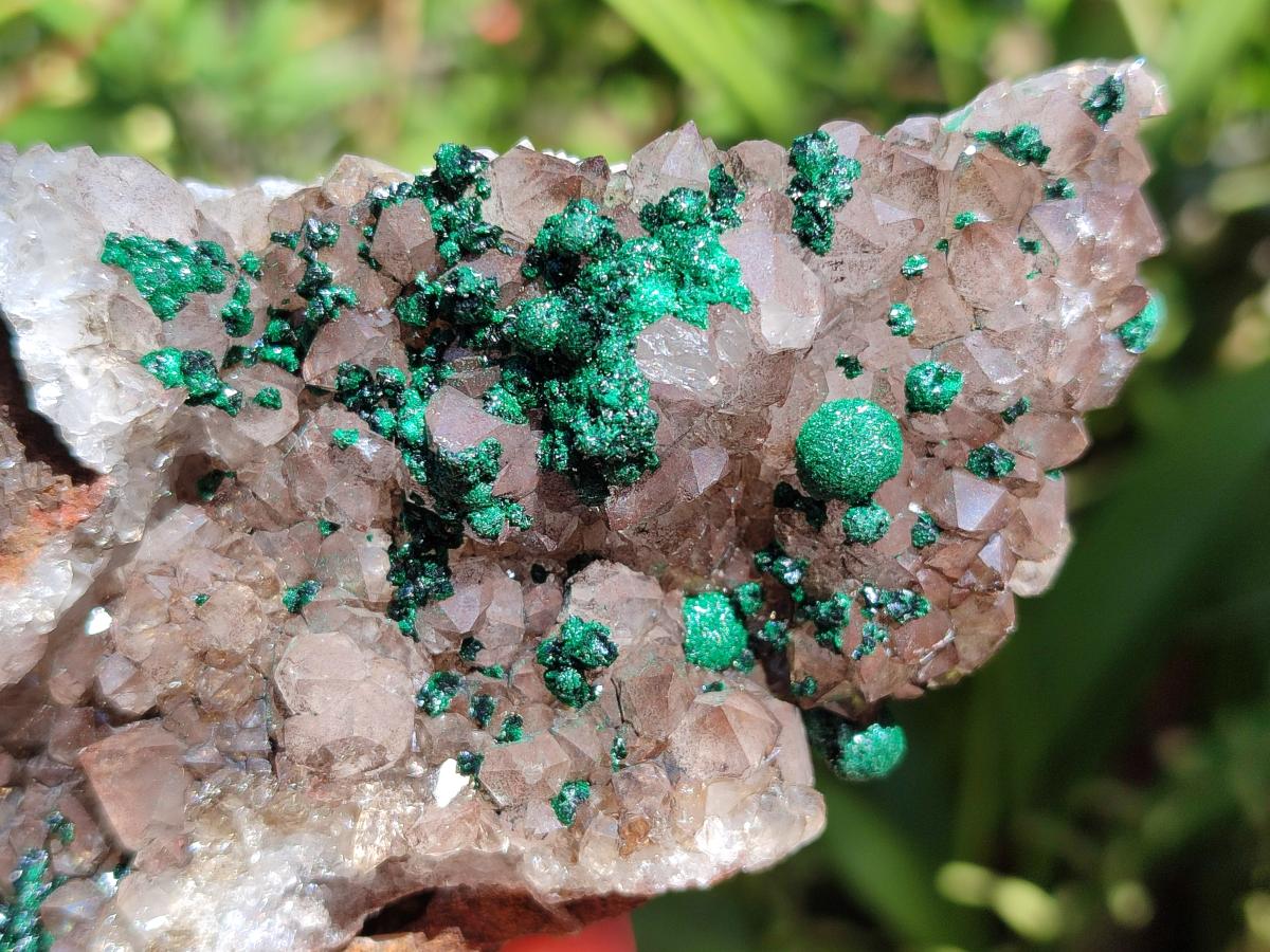 Natural Crystalline Ball Malachite and Quartz on Dolomite Matrix x 4 From Mindingi Mine, Kambove, Congo