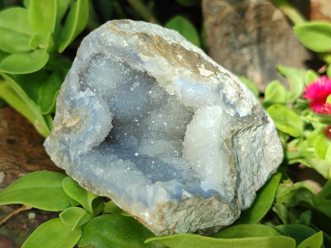 Natural Blue Lace Agate Geode Specimens x 12 From Nsanje, Malawi