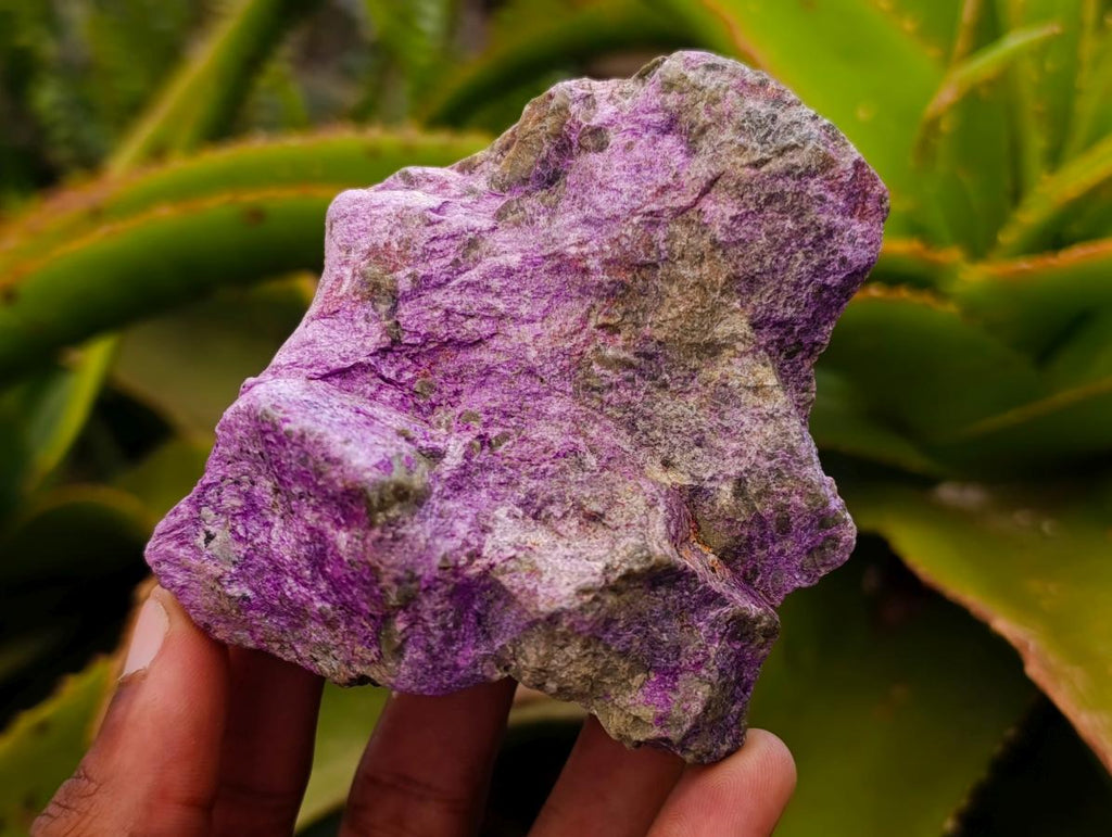 Natural Large Stichtite Cobbed Specimens x 12 From Barberton, South Africa