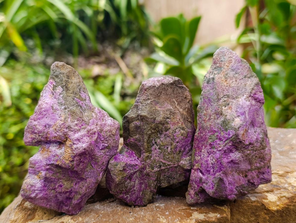 Natural Large Stichtite Cobbed Specimens x 12 From Barberton, South Africa