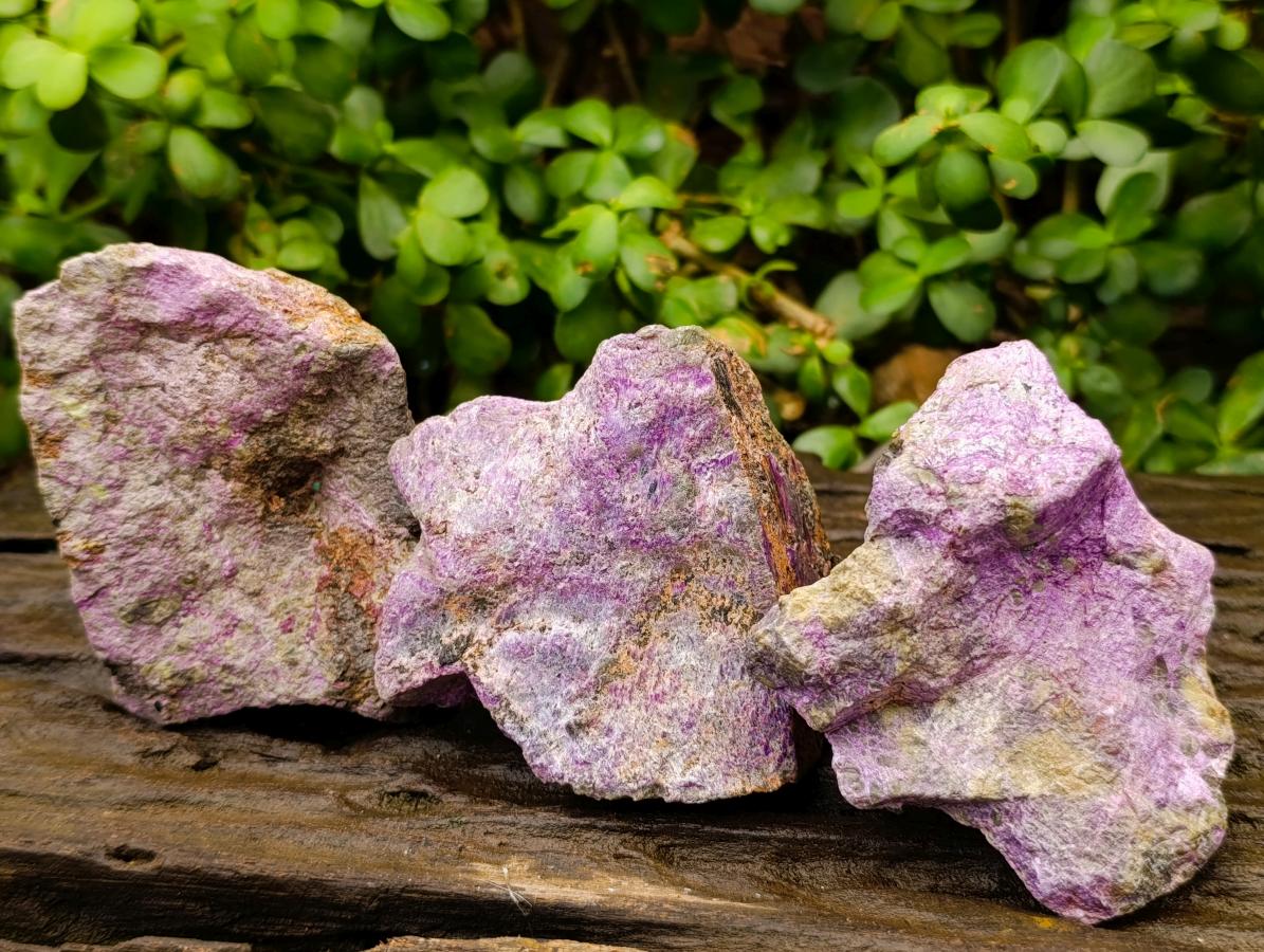 Natural Large Stichtite Cobbed Specimens x 12 From Barberton, South Africa