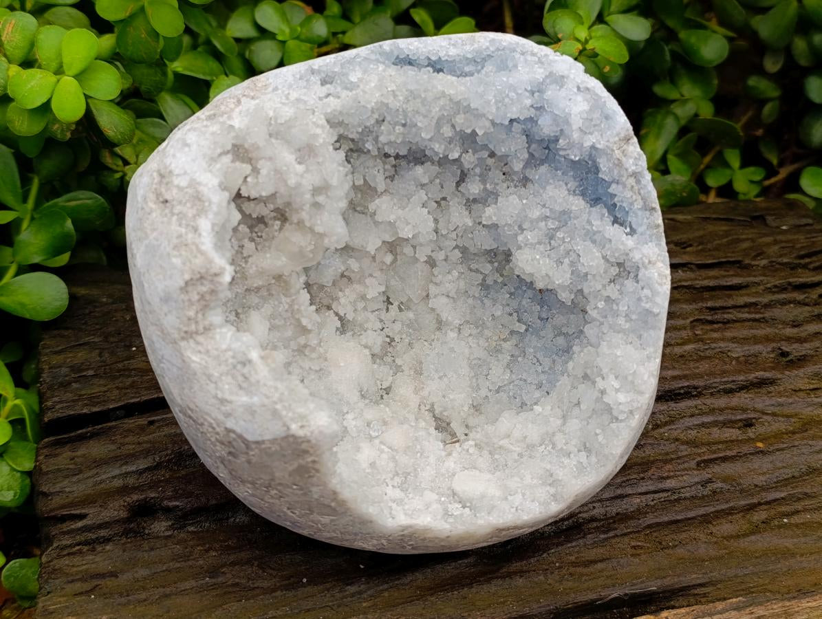 Polished Large Blue Celestite Geode Specimen x 1 From Sakoany, Madagascar - Toprock Gemstones and Minerals 