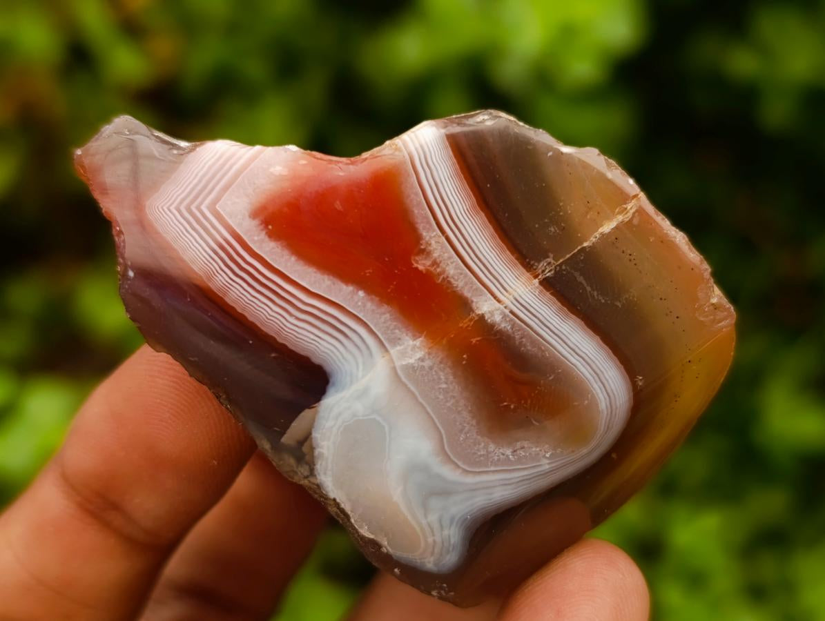 Polished One Side Red Shashe River Agate Nodules x 30 From Shashe River, Zimbabwe