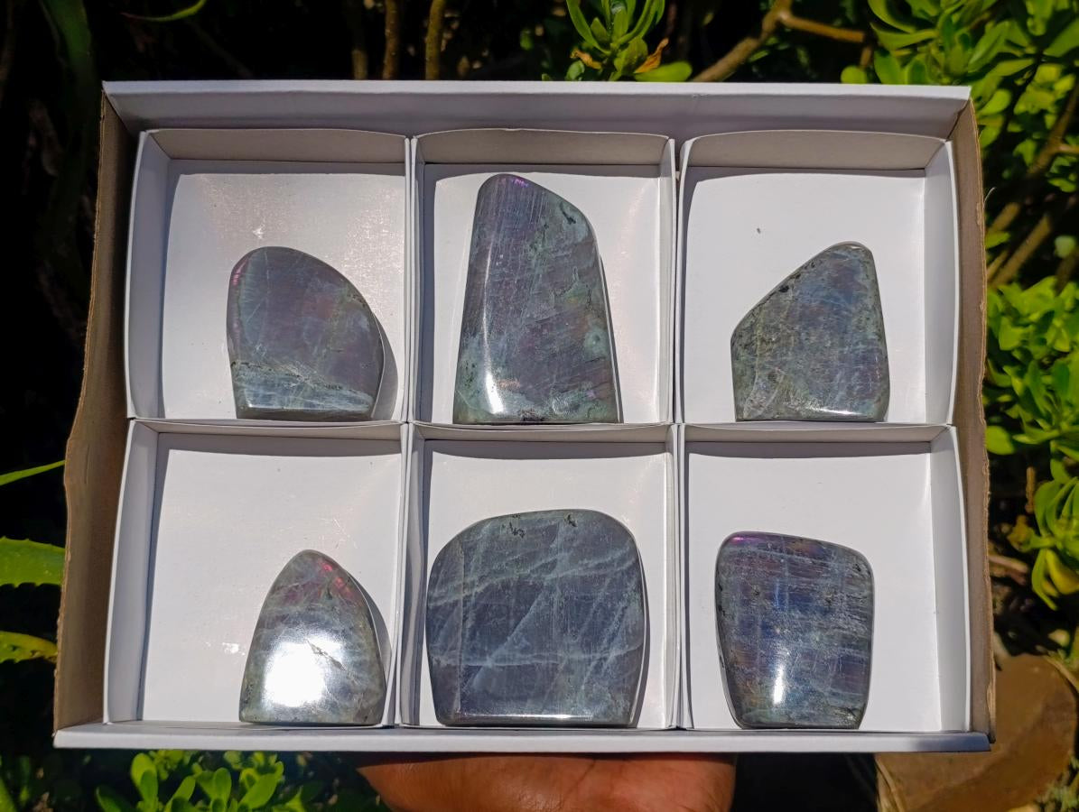 Polished Rare Purple Sunset Flash Labradorite Standing Free Forms x 6 From Madagascar - Toprock Gemstones and Minerals 