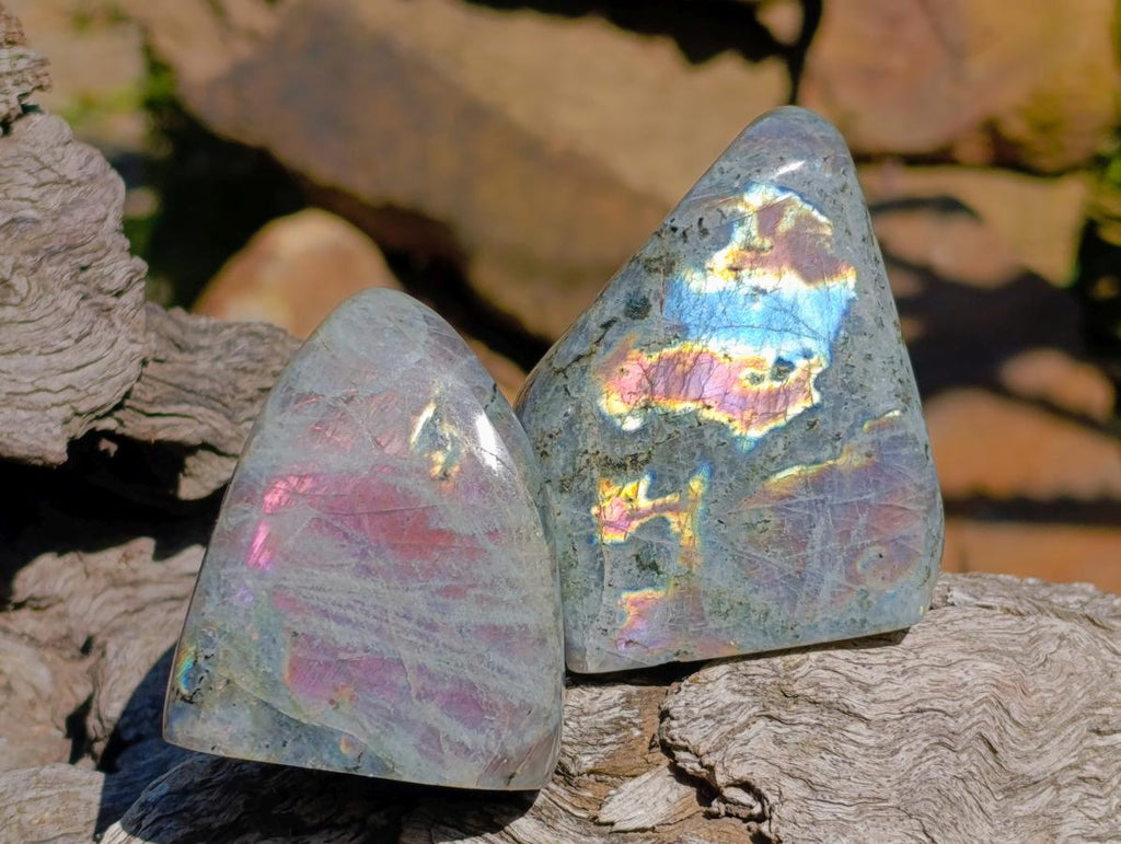 Polished Rare Purple Sunset Flash Labradorite Standing Free Forms x 6 From Madagascar - Toprock Gemstones and Minerals 