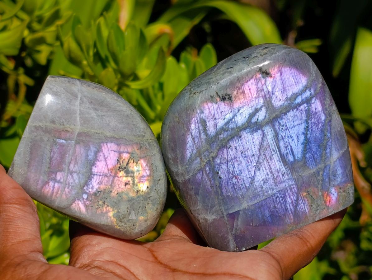 Polished Rare Purple Sunset Flash Labradorite Standing Free Forms x 6 From Madagascar - Toprock Gemstones and Minerals 
