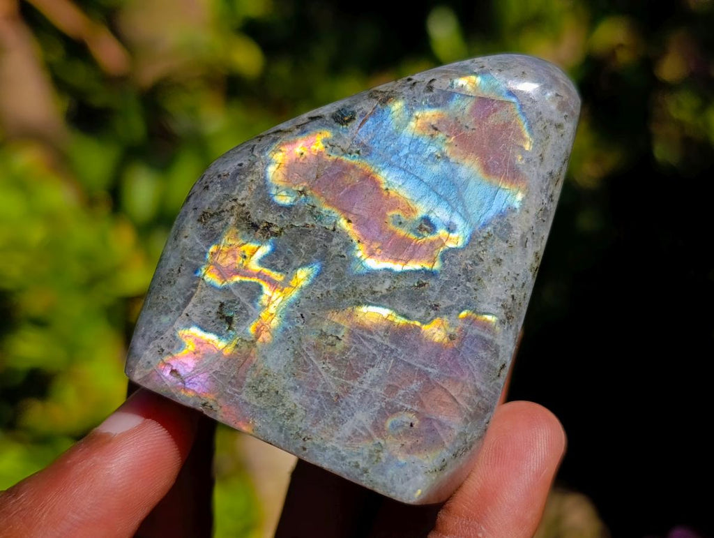 Polished Rare Purple Sunset Flash Labradorite Standing Free Forms x 6 From Madagascar - Toprock Gemstones and Minerals 