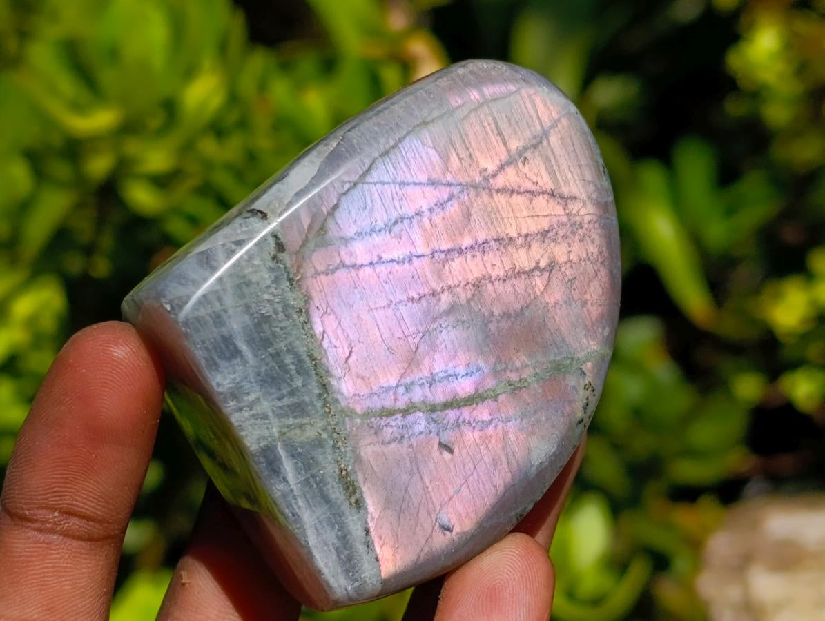 Polished Rare Purple Sunset Flash Labradorite Standing Free Forms x 6 From Madagascar - Toprock Gemstones and Minerals 
