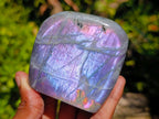 Polished Rare Purple Sunset Flash Labradorite Standing Free Forms x 6 From Madagascar - Toprock Gemstones and Minerals 