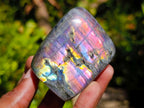 Polished Rare Purple Sunset Flash Labradorite Standing Free Forms x 6 From Madagascar - Toprock Gemstones and Minerals 