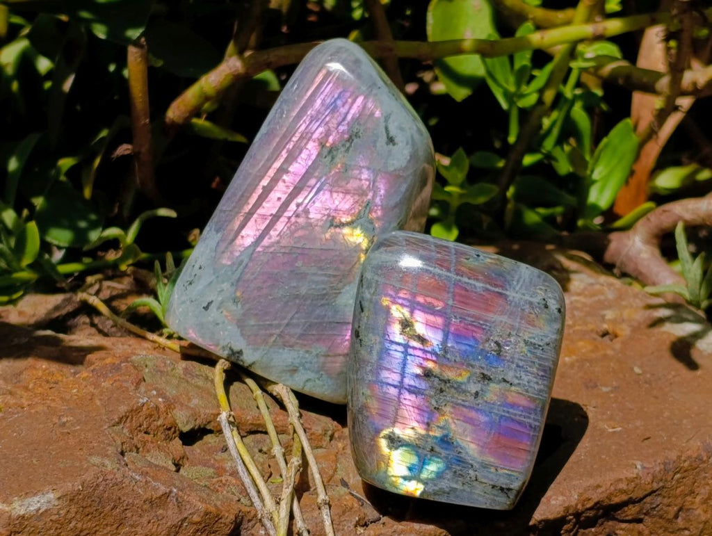 Polished Rare Purple Sunset Flash Labradorite Standing Free Forms x 6 From Madagascar - Toprock Gemstones and Minerals 