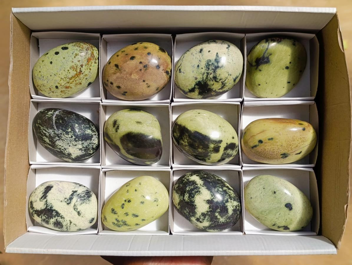 Polished Leopard Free Forms x 12 From Zimbabwe
