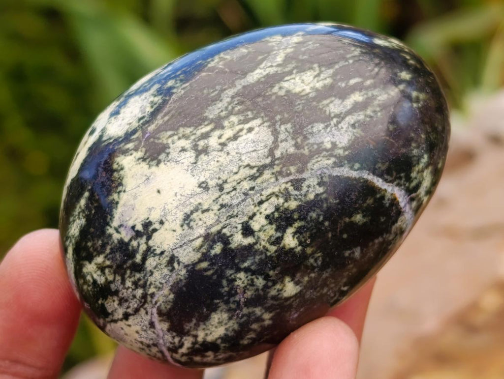 Polished Leopard Free Forms x 12 From Zimbabwe