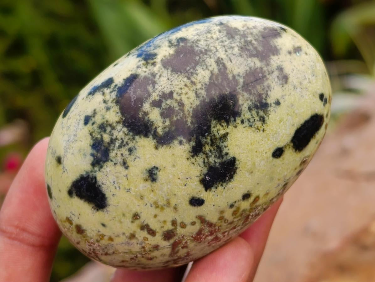 Polished Leopard Free Forms x 12 From Zimbabwe