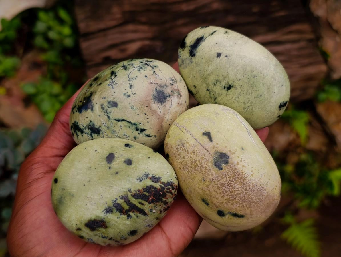 Polished Leopard Free Forms x 12 From Zimbabwe