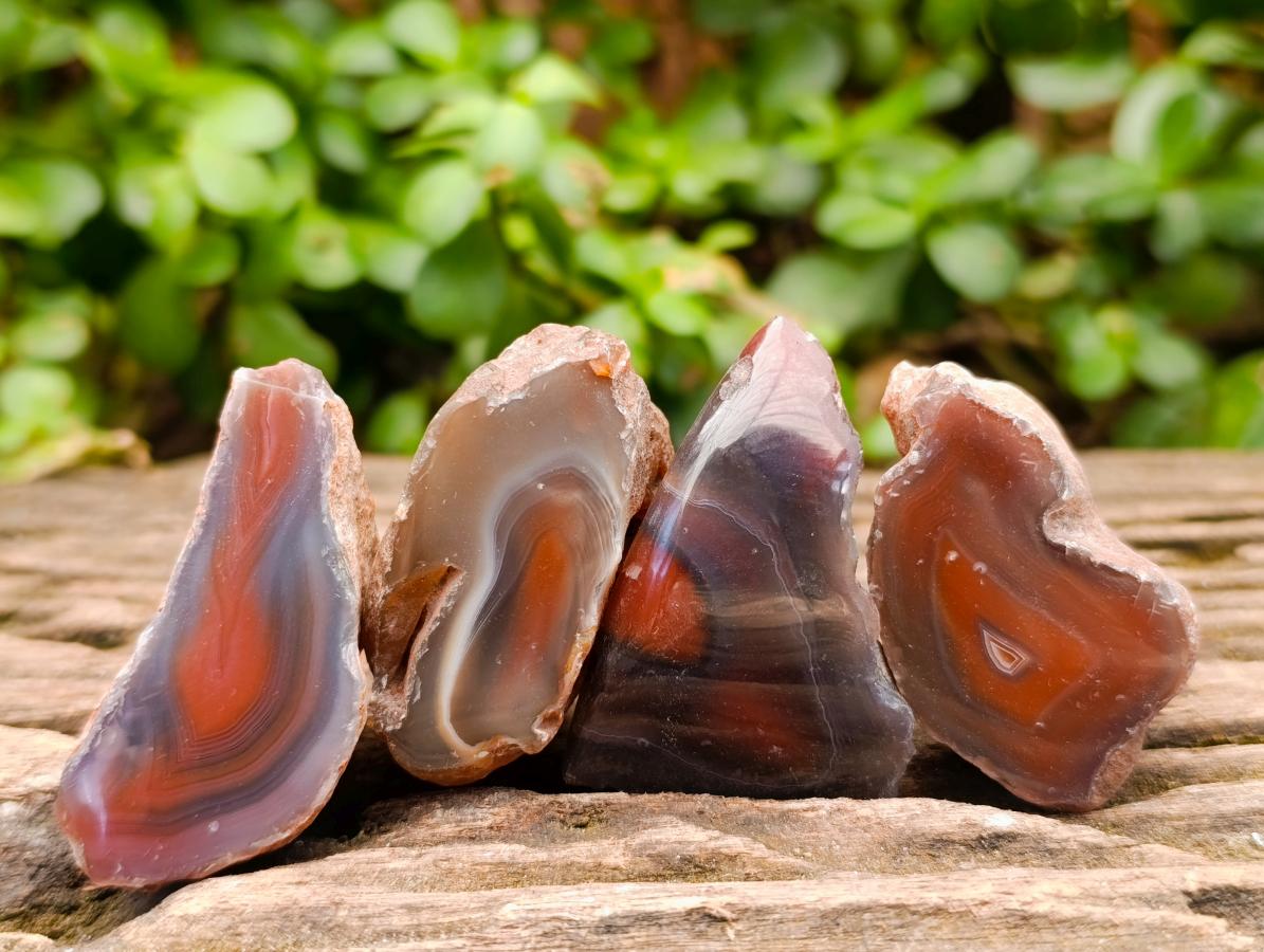 Polished One Side Red Shashe River Agate Nodules x 28 From Shashe River, Zimbabwe - Toprock Gemstones and Minerals 