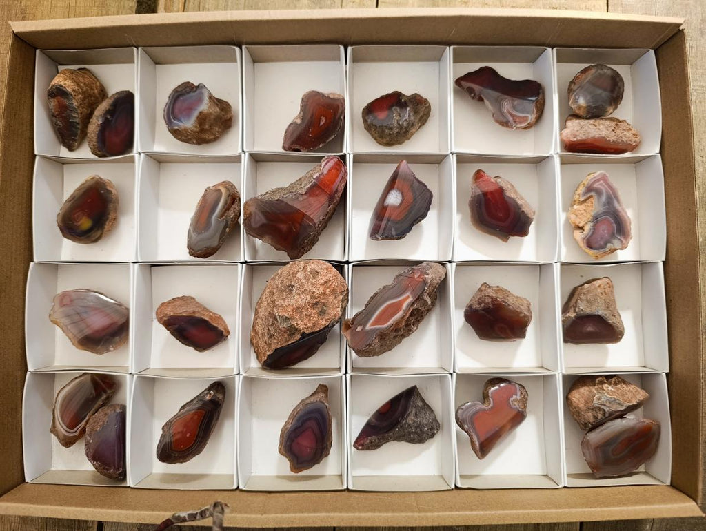 Polished One Side Red Shashe River Agate Nodules x 28 From Shashe River, Zimbabwe - Toprock Gemstones and Minerals 