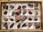 Polished One Side Red Shashe River Agate Nodules x 28 From Shashe River, Zimbabwe - Toprock Gemstones and Minerals 