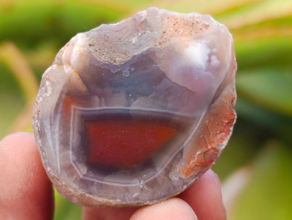 Polished One Side Red Shashe River Agate Nodules x 28 From Shashe River, Zimbabwe - Toprock Gemstones and Minerals 