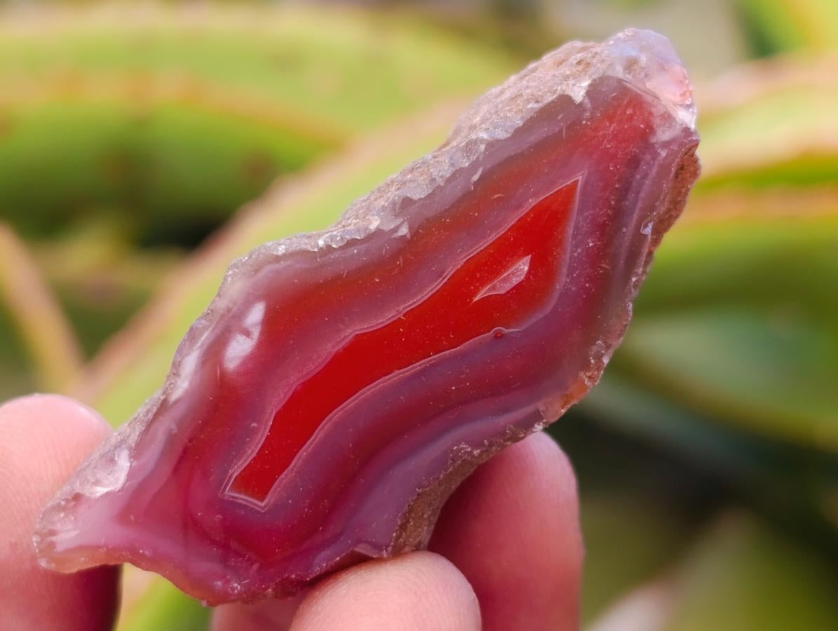 Polished One Side Red Shashe River Agate Nodules x 28 From Shashe River, Zimbabwe - Toprock Gemstones and Minerals 