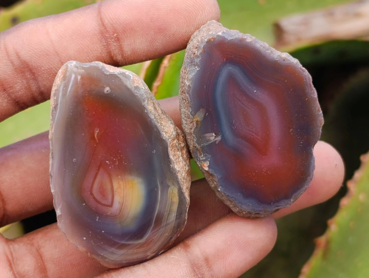 Polished One Side Red Shashe River Agate Nodules x 28 From Shashe River, Zimbabwe - Toprock Gemstones and Minerals 
