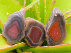 Polished One Side Red Shashe River Agate Nodules x 28 From Shashe River, Zimbabwe - Toprock Gemstones and Minerals 