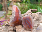 Polished One Side Red Shashe River Agate Nodules x 28 From Shashe River, Zimbabwe - Toprock Gemstones and Minerals 