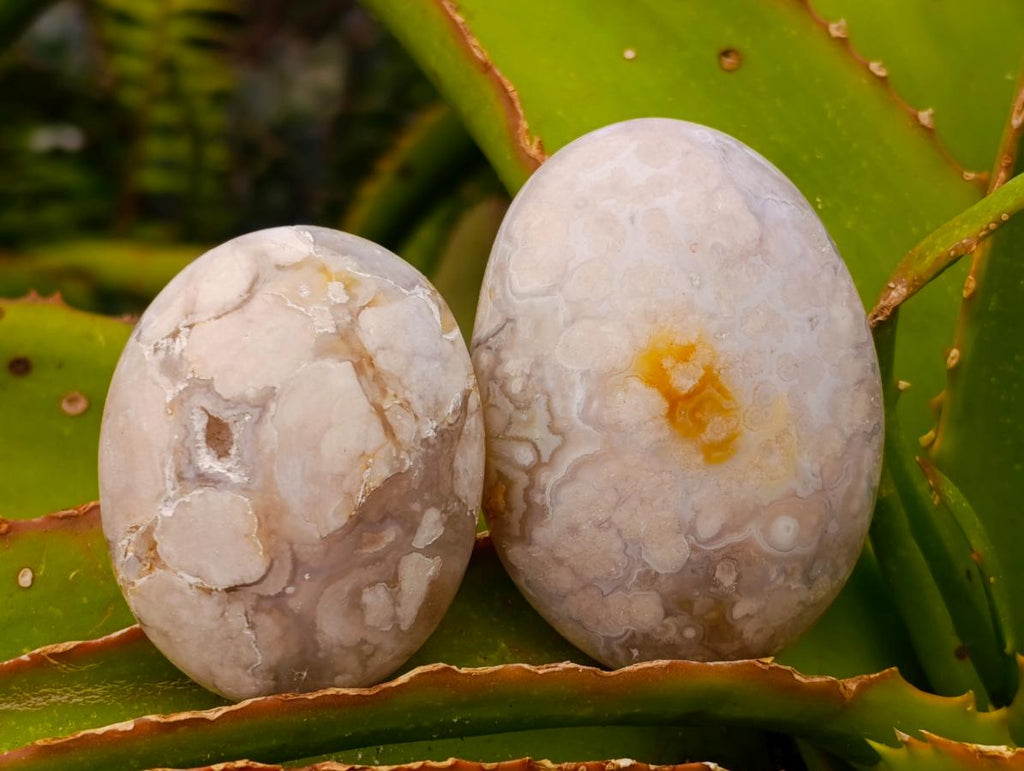 Polished Flower Agate Palm Stones x 26 From Antsahalova, Madagascar - Toprock Gemstones and Minerals 