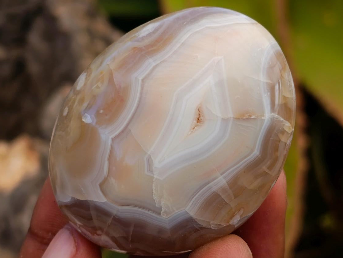 Polished Flower Agate Palm Stones x 26 From Antsahalova, Madagascar