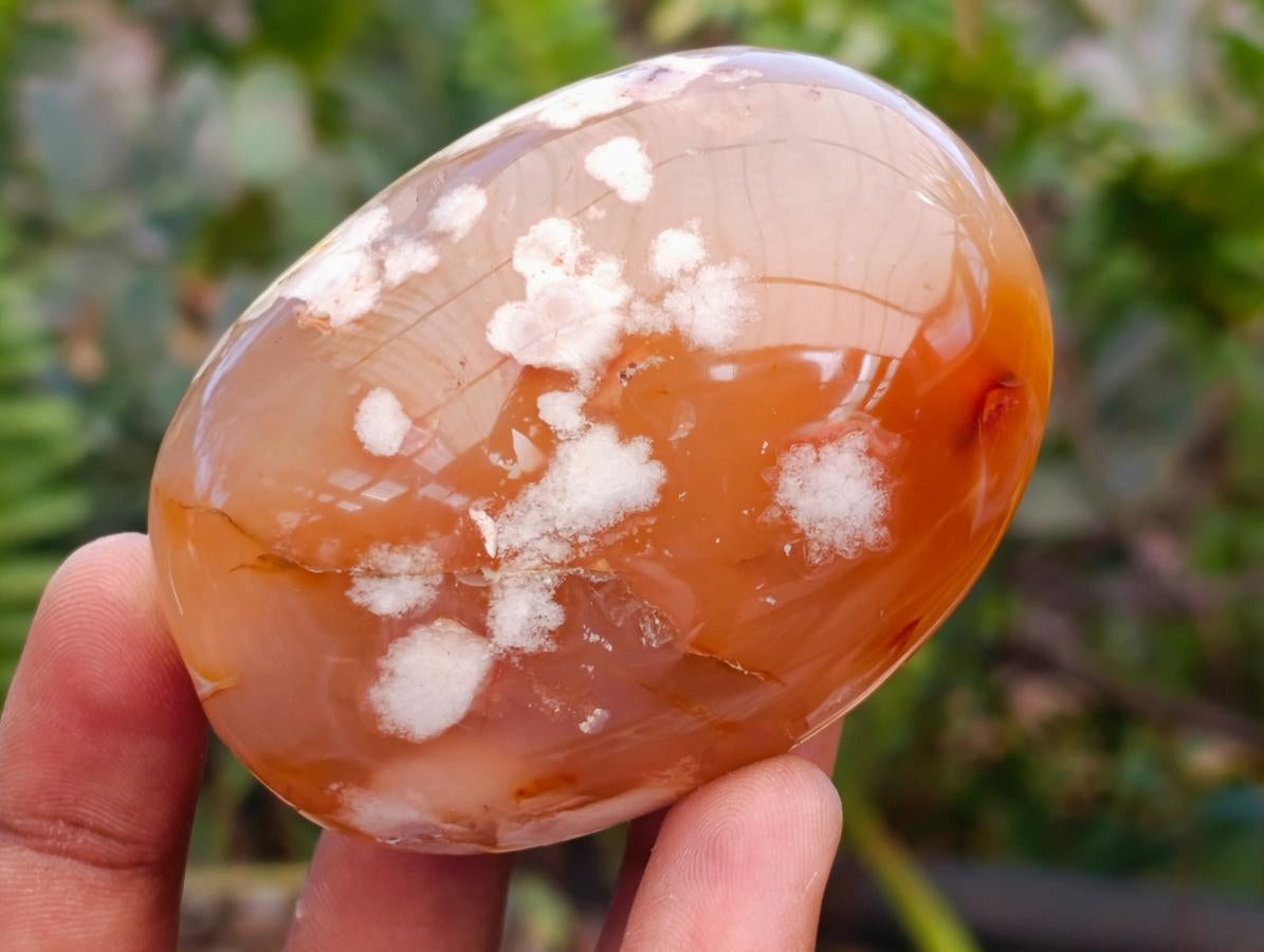 Polished Flower Agate Palm Stones x 26 From Antsahalova, Madagascar - Toprock Gemstones and Minerals 