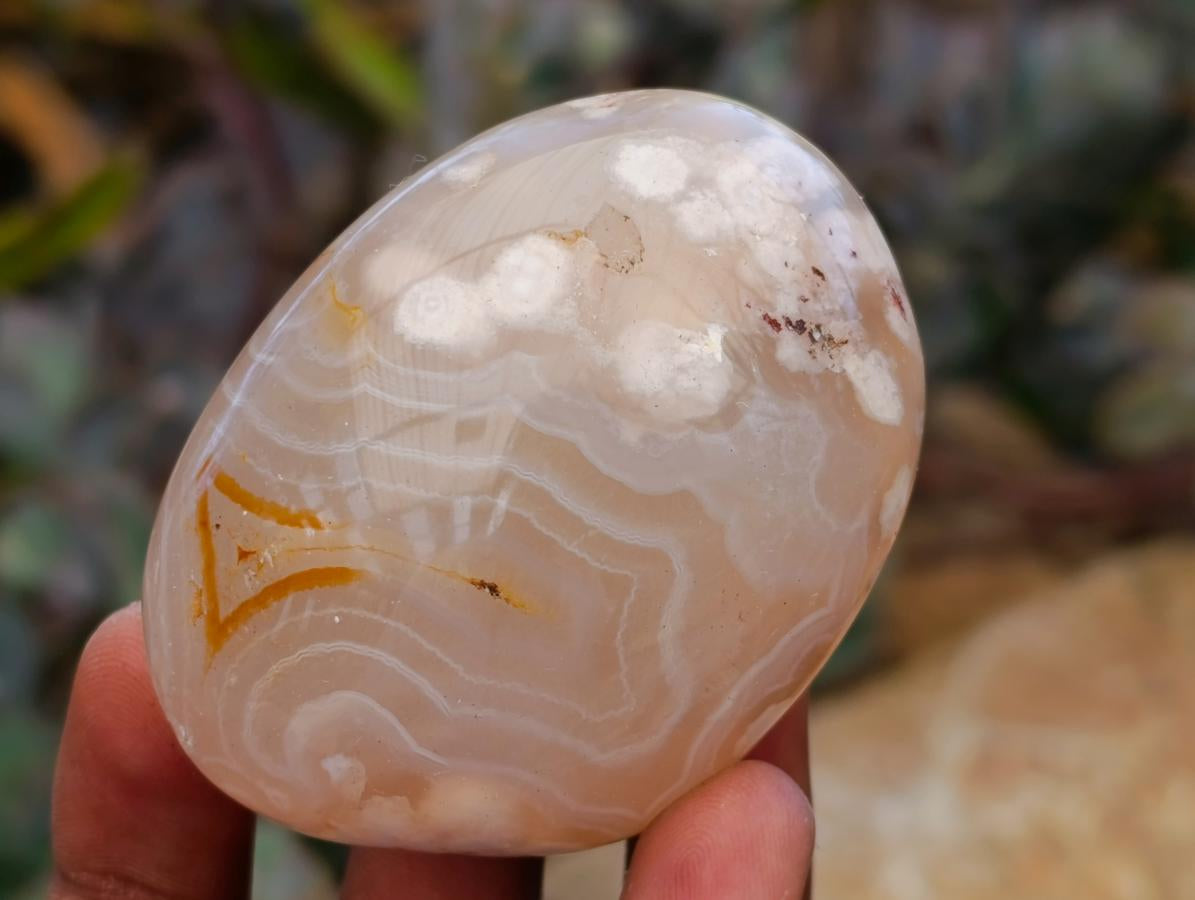 Polished Flower Agate Palm Stones x 26 From Antsahalova, Madagascar - Toprock Gemstones and Minerals 
