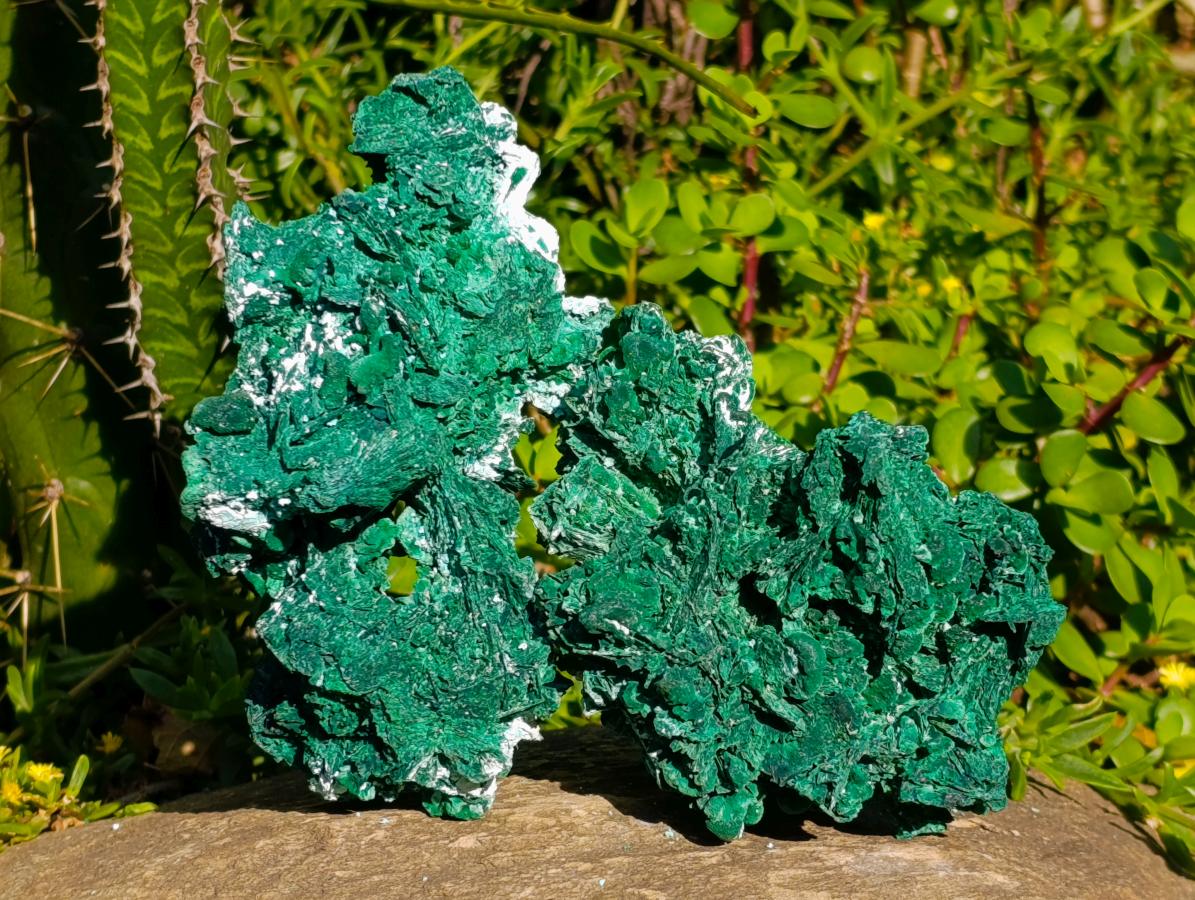 Natural Rare Malachite Pseudomorph Specimens x 2 From Kolwezi, Congo