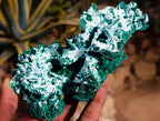Natural Rare Malachite Pseudomorph Specimens x 2 From Kolwezi, Congo