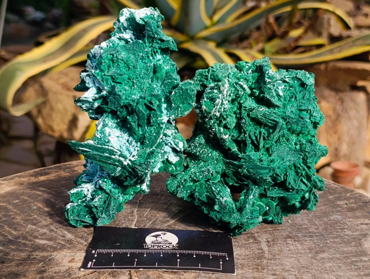 Natural Rare Malachite Pseudomorph Specimens x 2 From Kolwezi, Congo