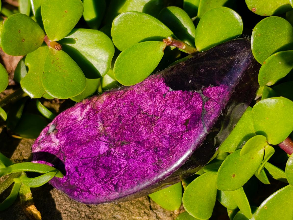 Polished On One Side Metallic Purpurite Specimens x 6 From Erongo Namibia