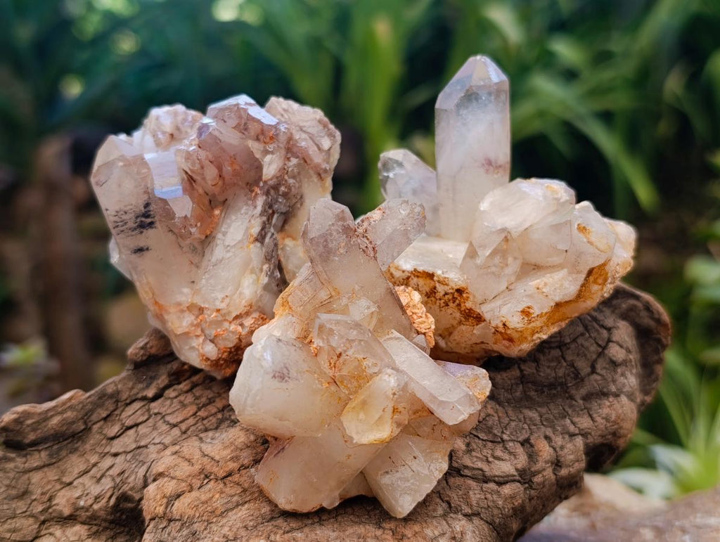 Natural Red Hematoid Quartz Crystal Clusters x 12 From Karoi, Zimbabwe