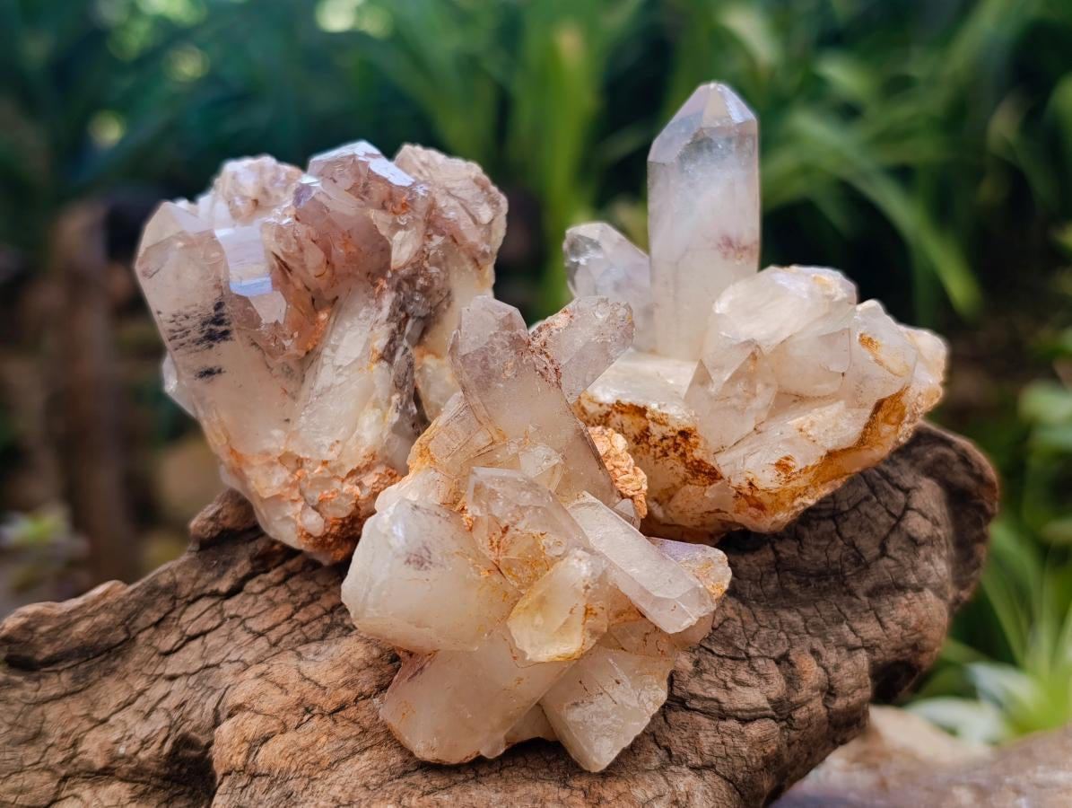 Natural Red Hematoid Quartz Crystal Clusters x 12 From Karoi, Zimbabwe