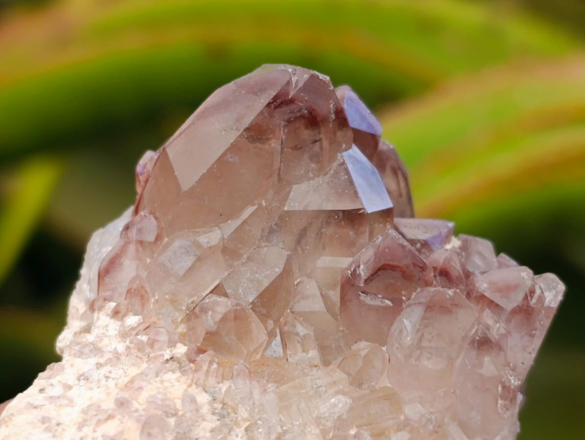 Natural Red Hematoid Quartz Crystal Clusters x 12 From Karoi, Zimbabwe