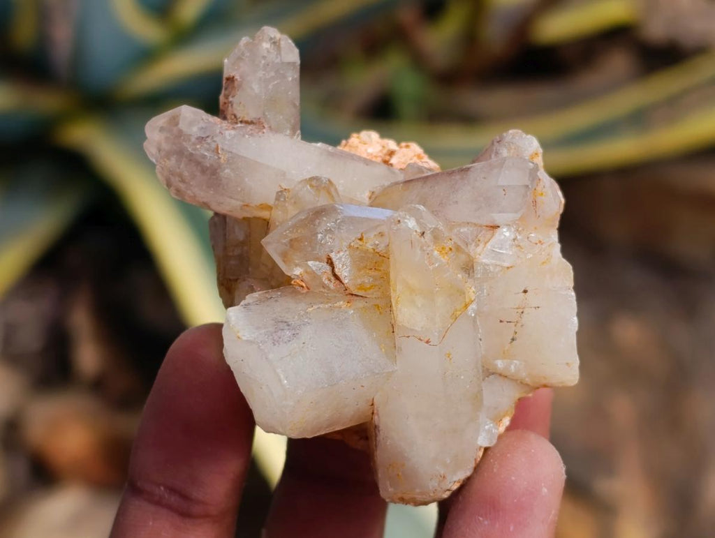 Natural Red Hematoid Quartz Crystal Clusters x 12 From Karoi, Zimbabwe