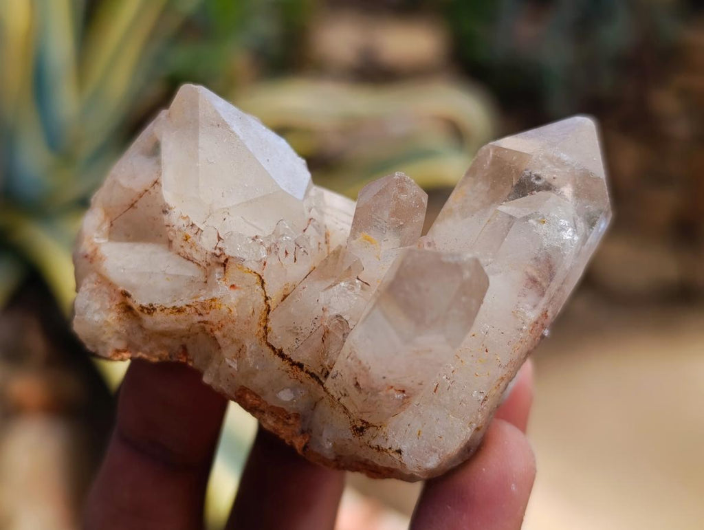 Natural Red Hematoid Quartz Crystal Clusters x 12 From Karoi, Zimbabwe