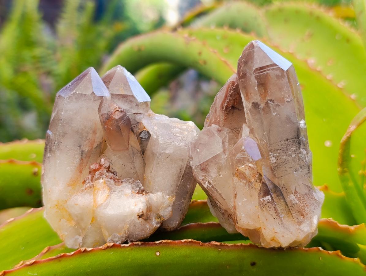 Natural Red Hematoid Quartz Crystal Clusters x 12 From Karoi, Zimbabwe