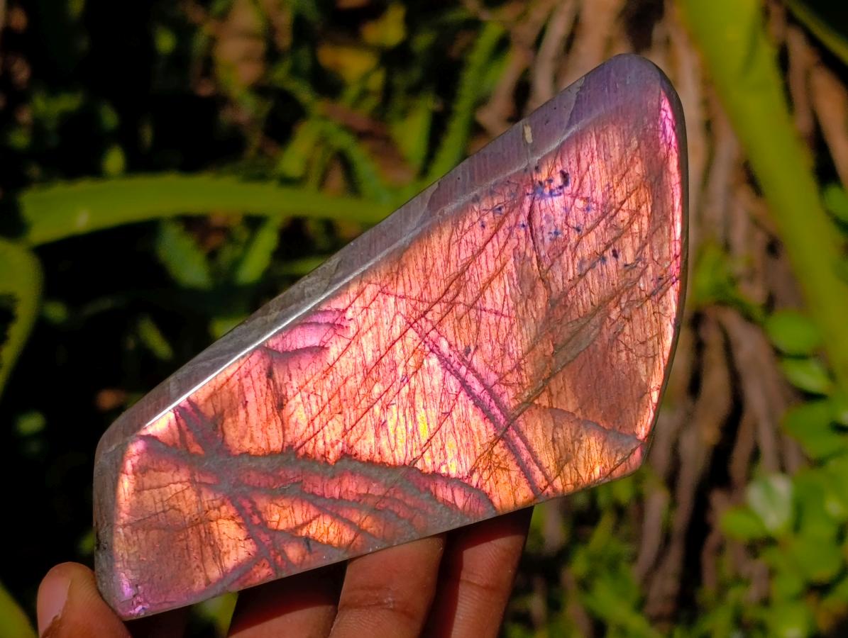 Polished Rare Purple Sunset Flash Labradorite Standing Free Forms x 4 From Madagascar