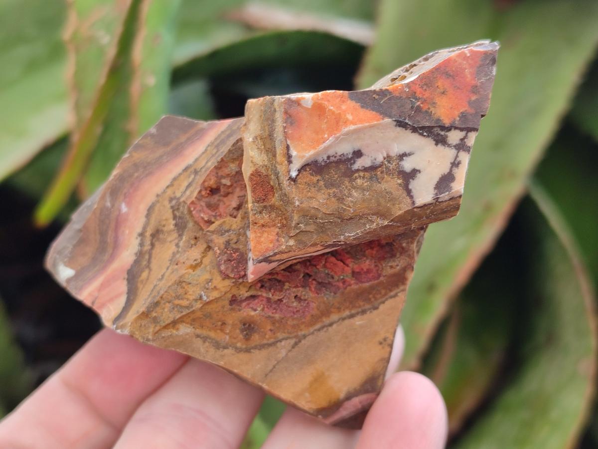 Natural Nguni Jasper Cobbed Specimens x 12 From Northern Cape, South Africa