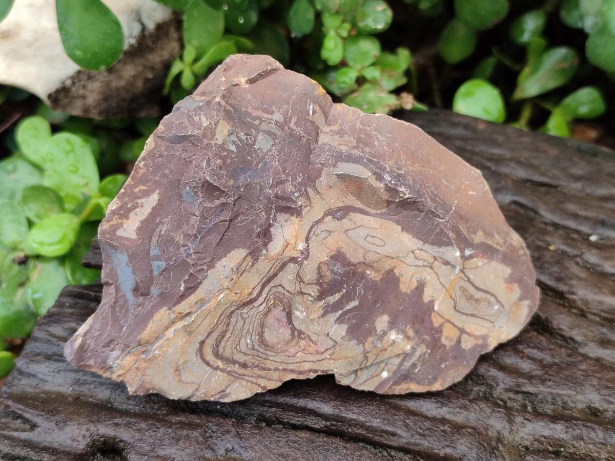 Natural Nguni Jasper Cobbed Specimens x 12 From Northern Cape, South Africa