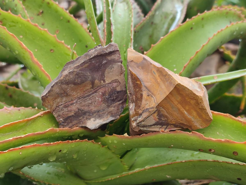 Natural Nguni Jasper Cobbed Specimens x 12 From Northern Cape, South Africa