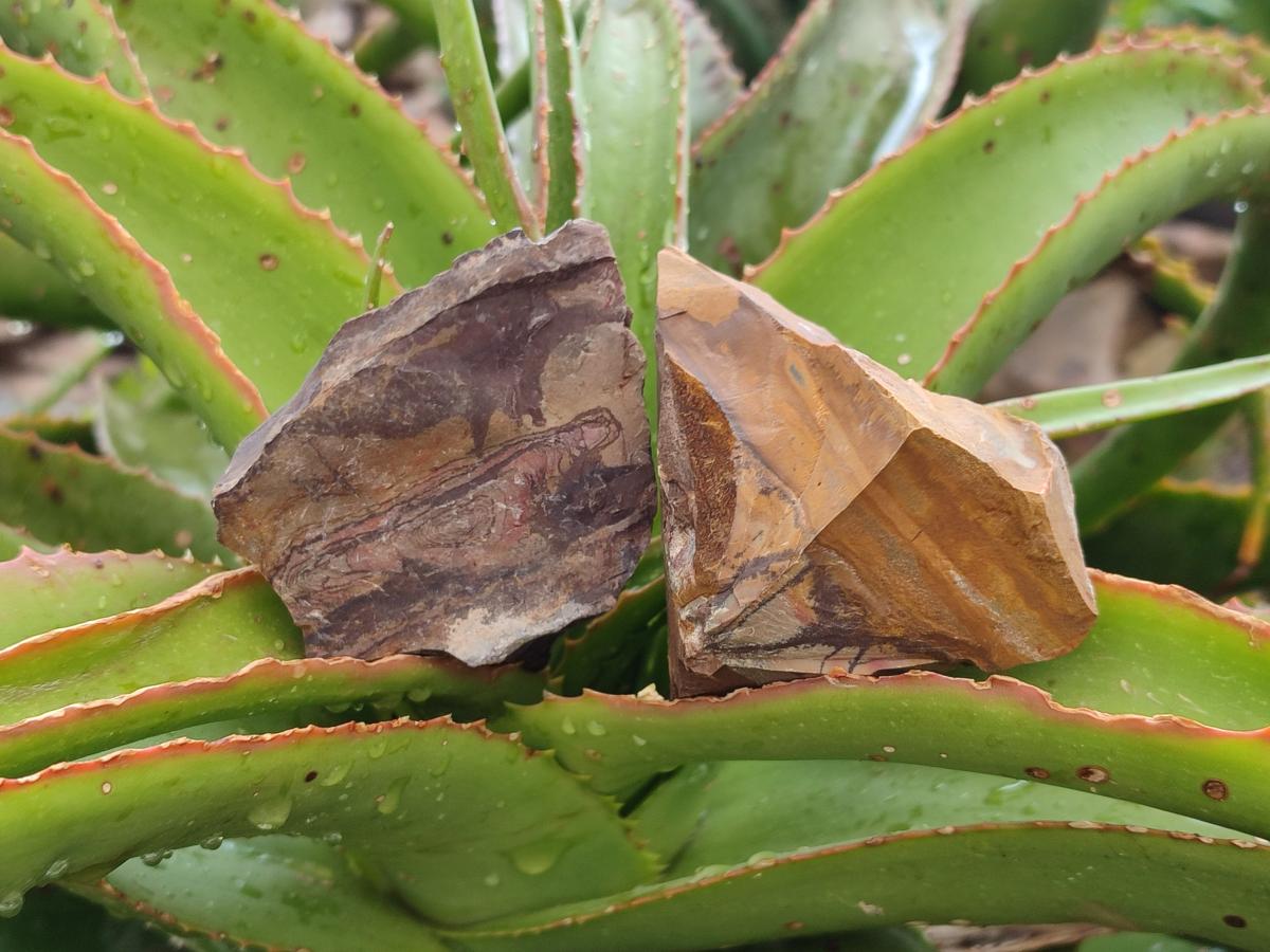Natural Nguni Jasper Cobbed Specimens x 12 From Northern Cape, South Africa