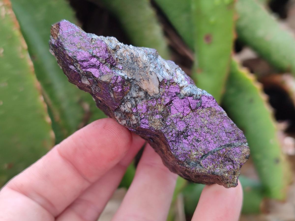 Natural Metallic Cobbed Purpurite Specimens x 35 From Erongo, Namibia