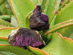 Natural Metallic Cobbed Purpurite Specimens x 35 From Erongo, Namibia