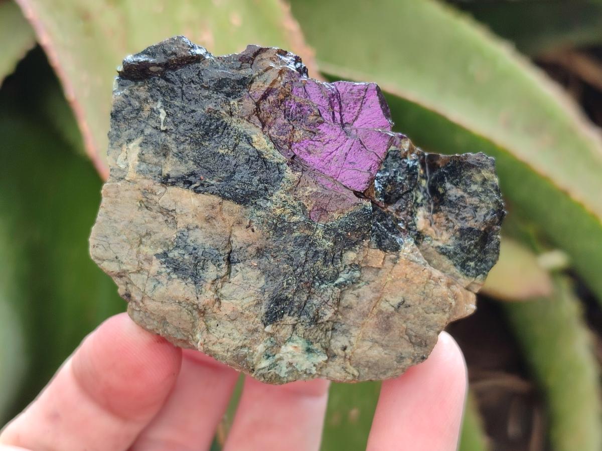 Natural Metallic Cobbed Purpurite Specimens x 35 From Erongo, Namibia
