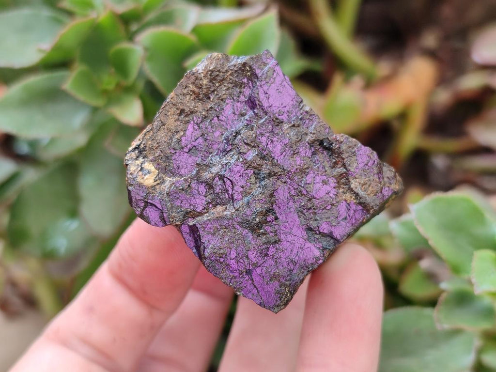 Natural Metallic Cobbed Purpurite Specimens x 35 From Erongo, Namibia